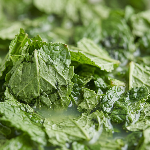 extrato de menta